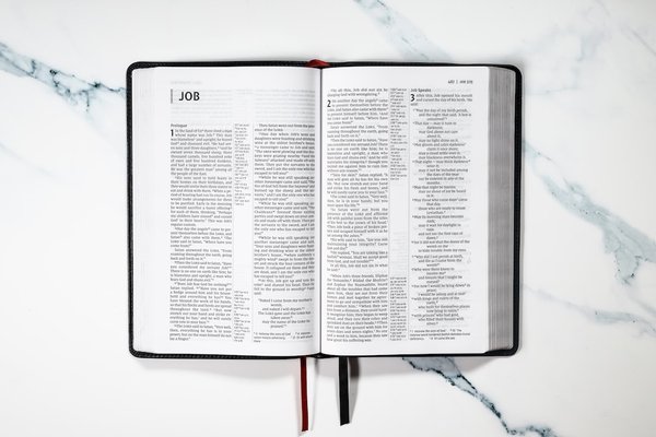 Quels sont les différents types de création d'entreprise ?