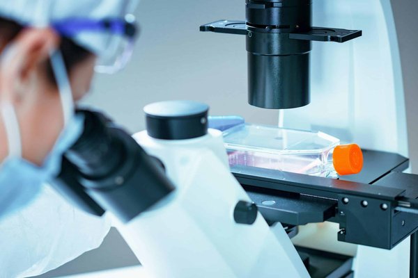 Guide complet sur les tests A/B pour les marketeurs